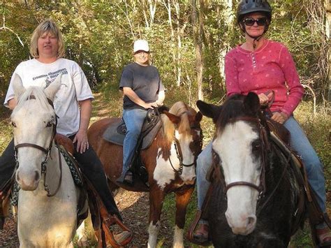 horse lessons|horseback riding lessons for adults.